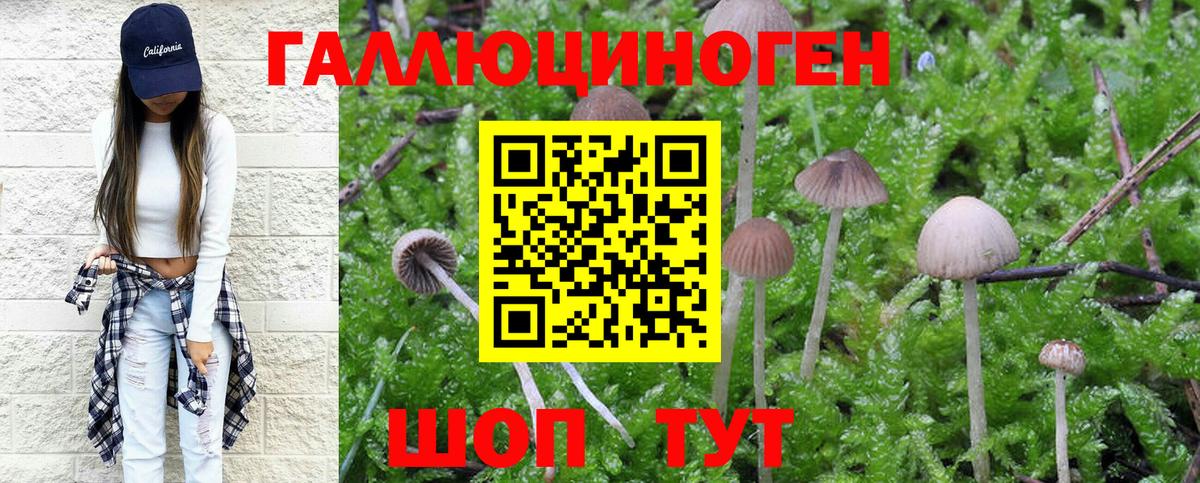 Печора  Галлюциногенные грибы Cubensis  где найти наркотики  Вход с VPN 